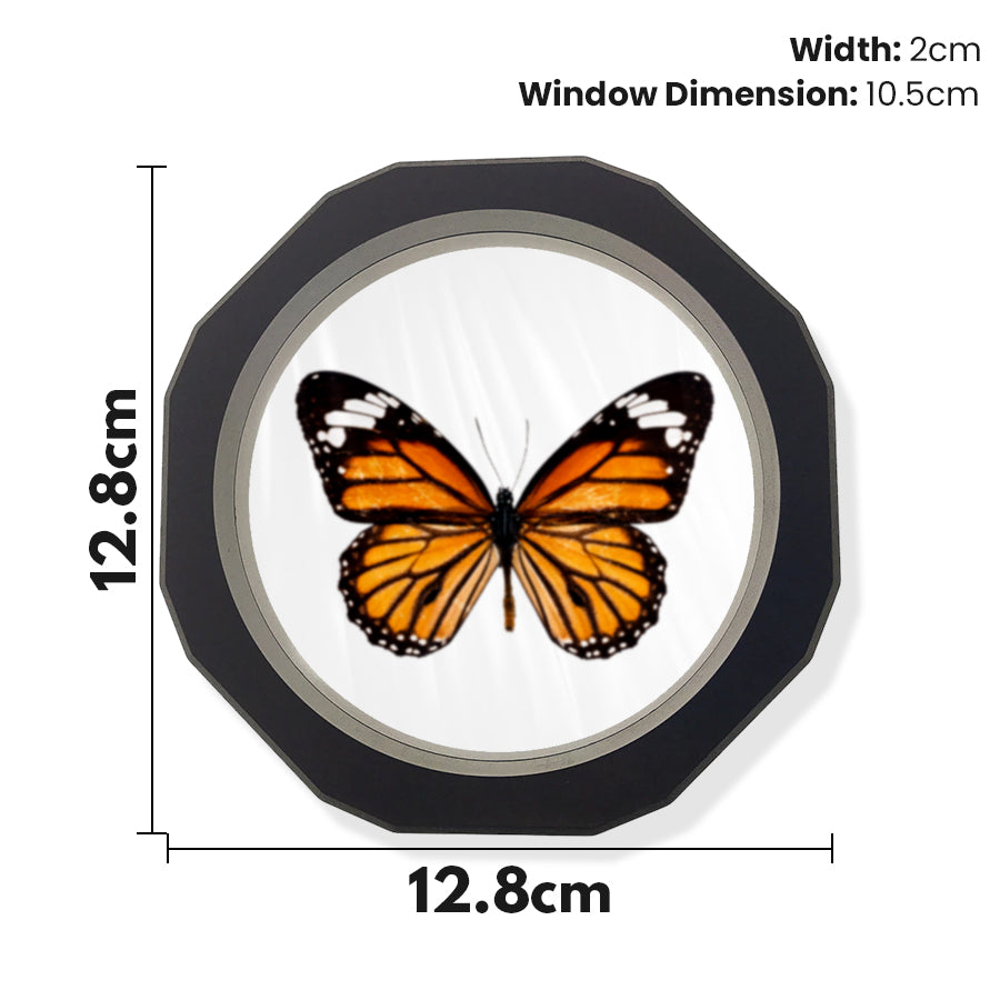 (2022) Time Clip™ Display Frame - Circular - Materiol