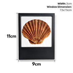 (2022) Time Clip™ Display Frame - Rectangle - Materiol