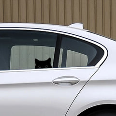 Car Sticker Accessories