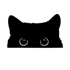 Car Sticker Accessories
