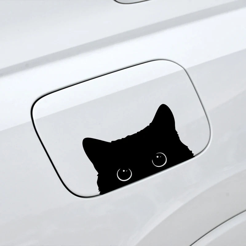 Car Sticker Accessories