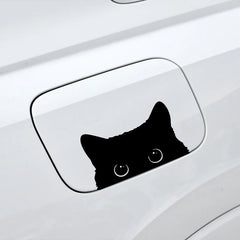Car Sticker Accessories
