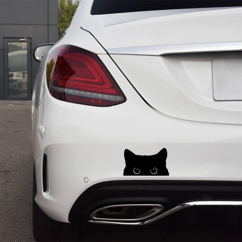 Car Sticker Accessories