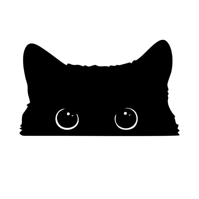 Car Sticker Accessories