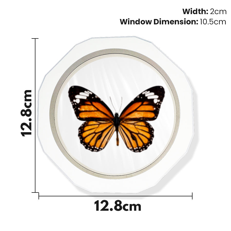 (2022) Time Clip™ Display Frame - Circular - Materiol