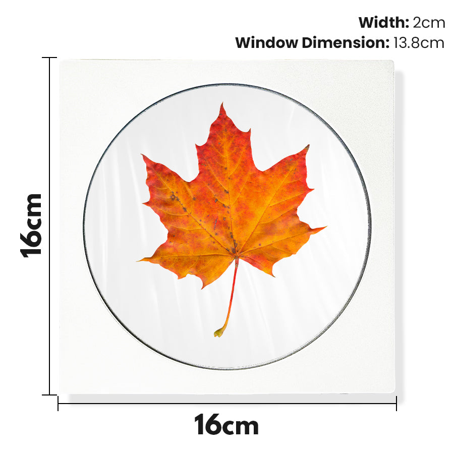 (2022) Time Clip™ Display Frame - Circular - Materiol
