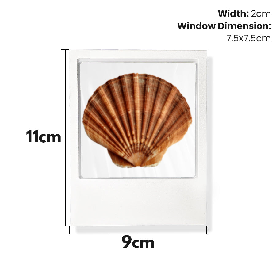 (2022) Time Clip™ Display Frame - Rectangle - Materiol